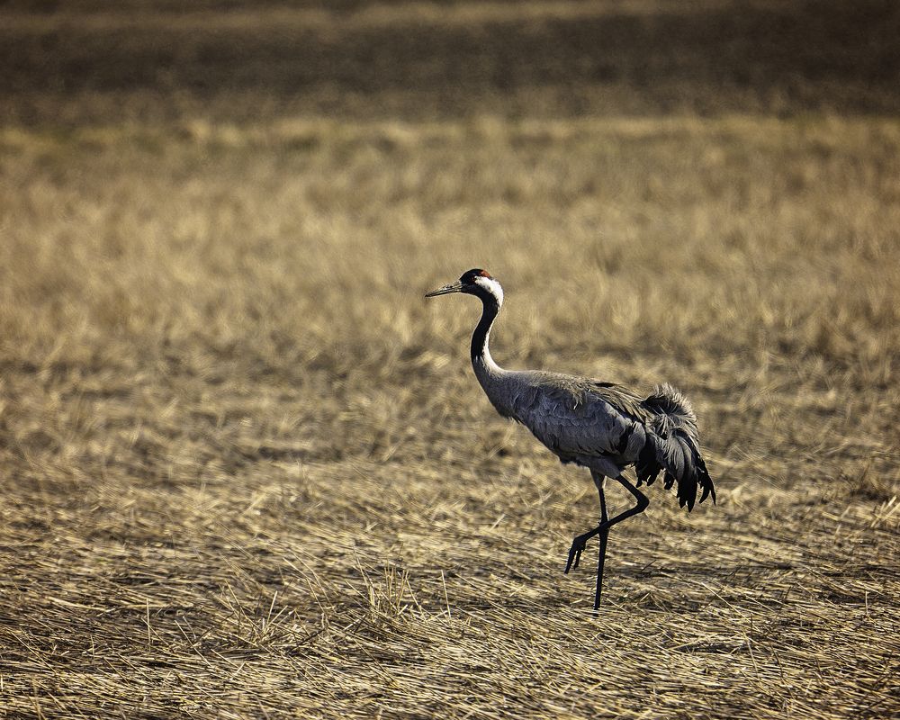 Photograph by Anna Sindikayeva