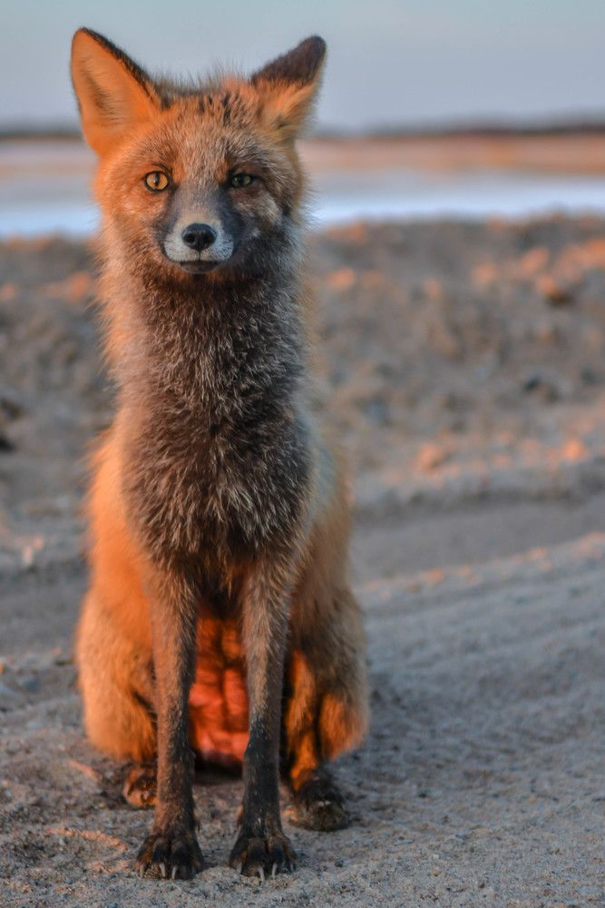 Photograph by Алексей Ильин