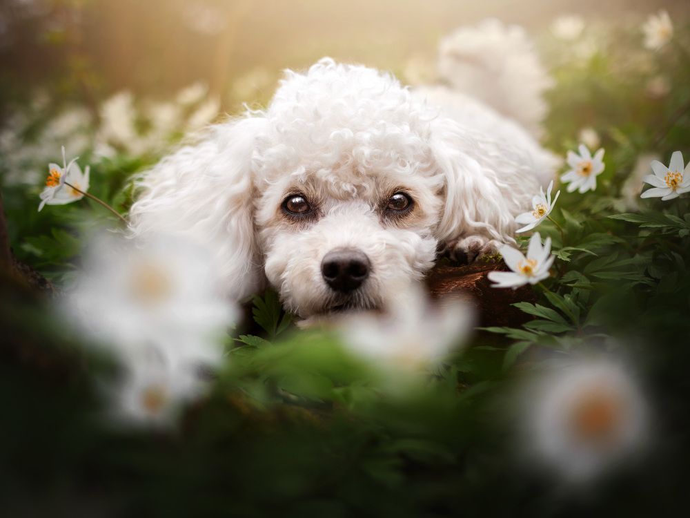 Photograph by Dorota Hnatová