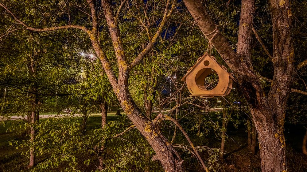 Photograph by Мария Сазонова