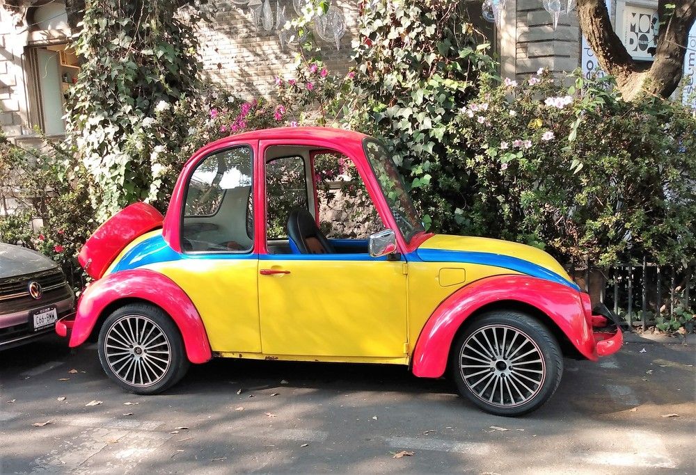 Photograph by José Luis Mendoza Machado