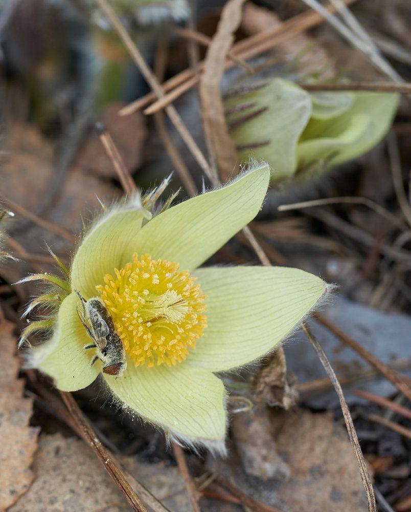 Photograph by Дмитрий Соколов