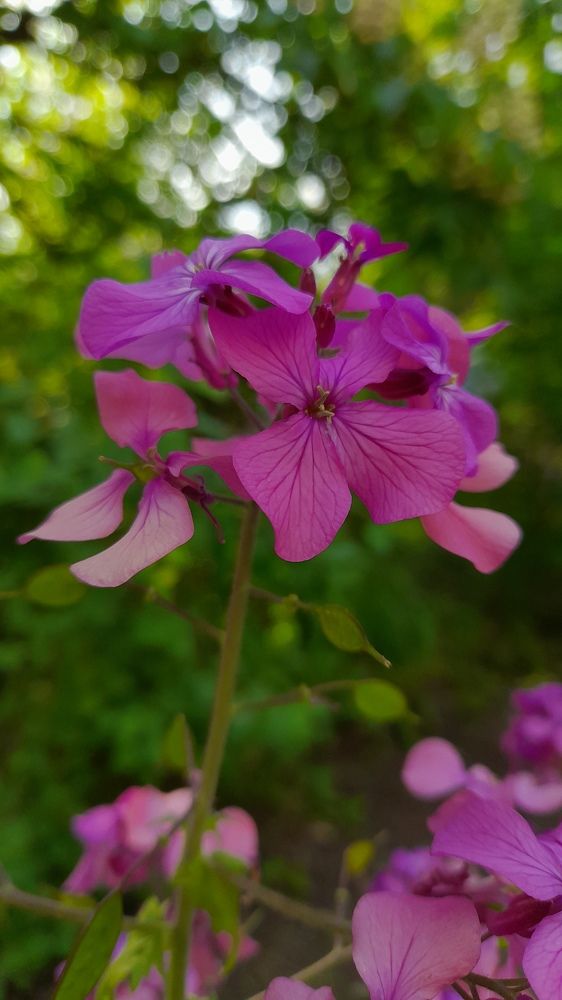 Photograph by Светлана Мазурова