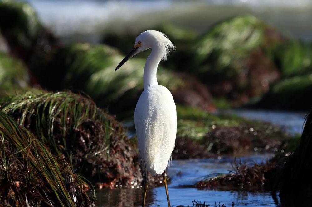 Photograph by Евгений Власов