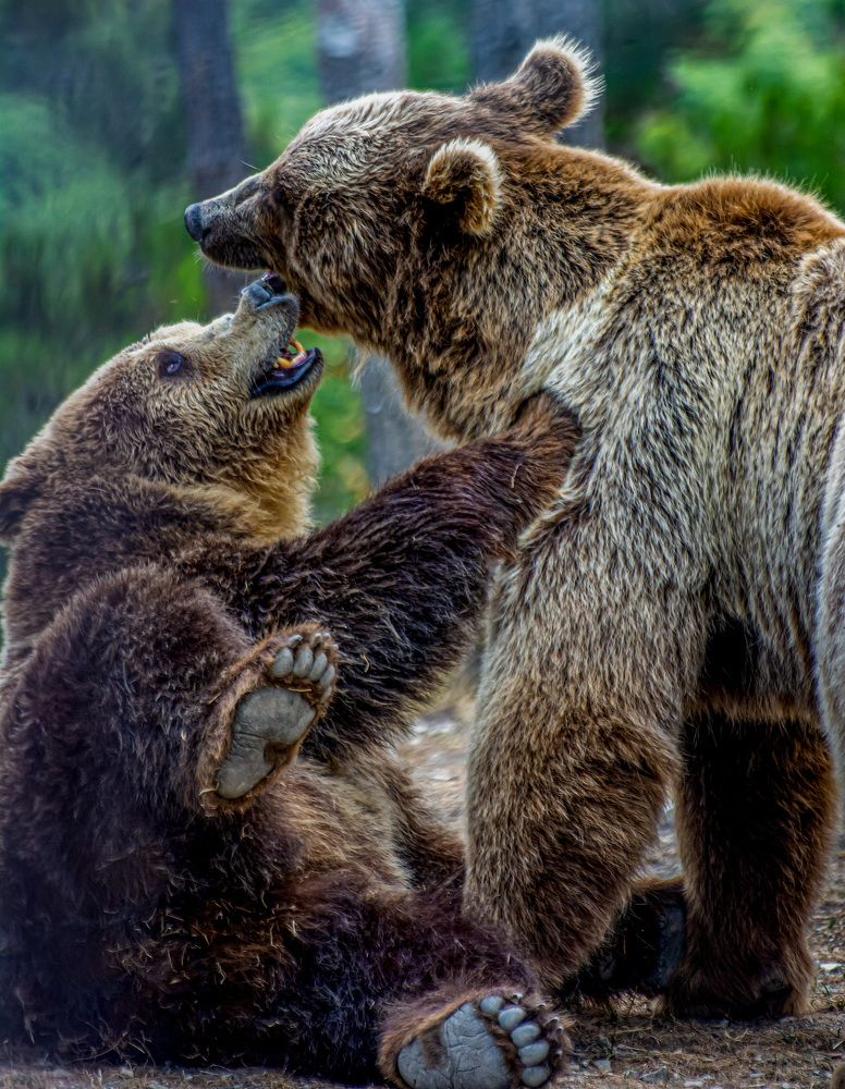 Photograph by Савчук Сергей