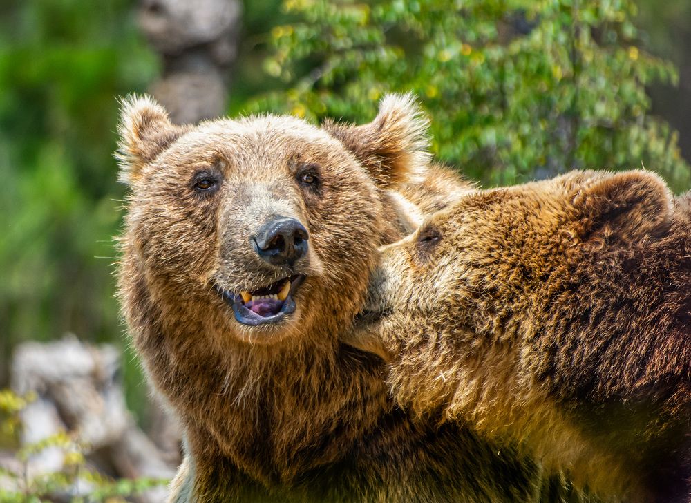 Photograph by Савчук Сергей