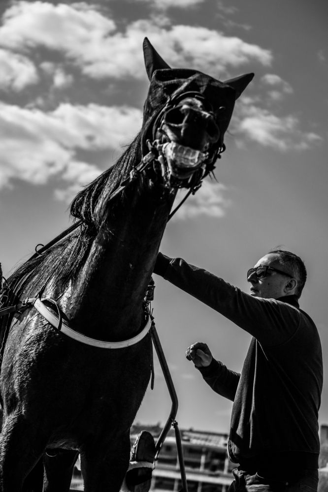 Photograph by Elen Vorontsova