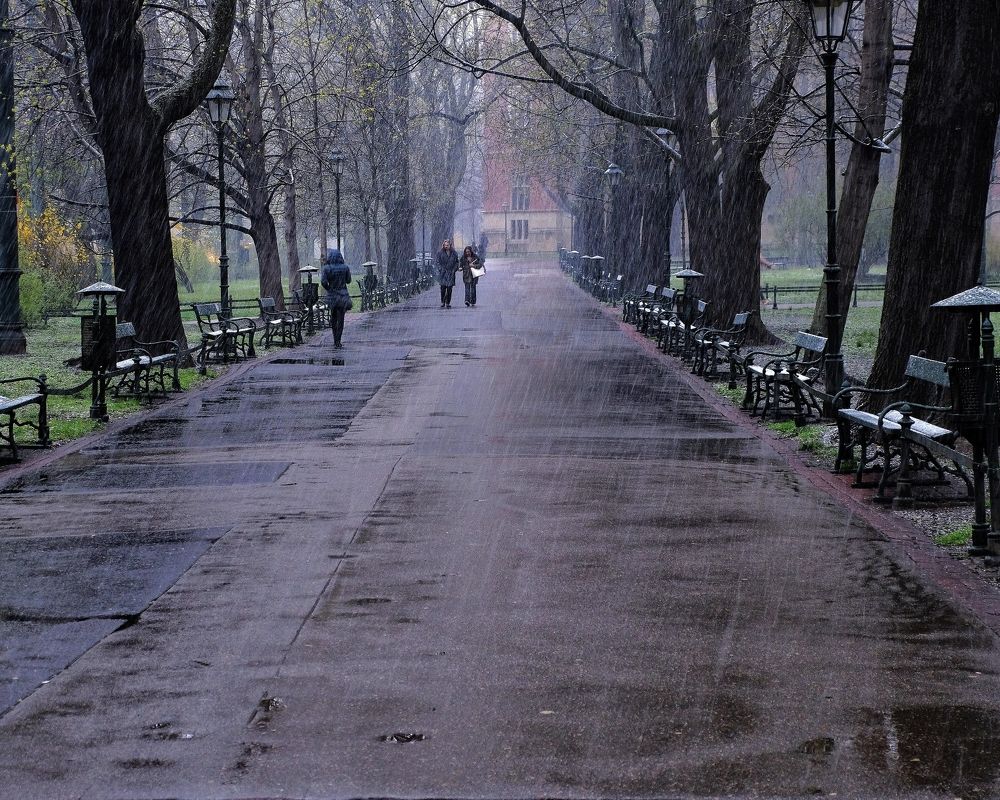 Фотография автора Dmitry