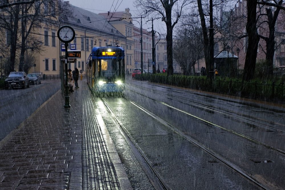 Фотография автора Dmitry