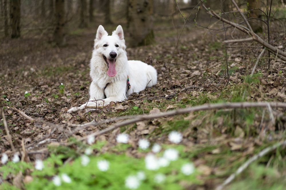 Photograph by Олеся Суббота