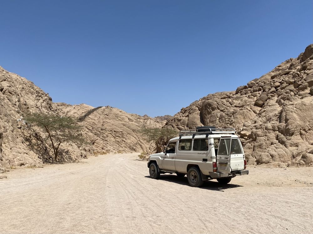 Photograph by Екатерина Амирасланова