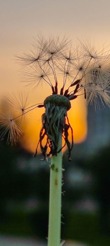 Photograph by Юрий Корсунцев