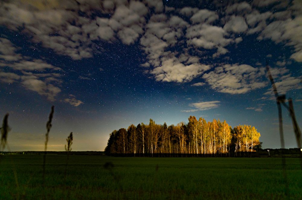 Photograph by 