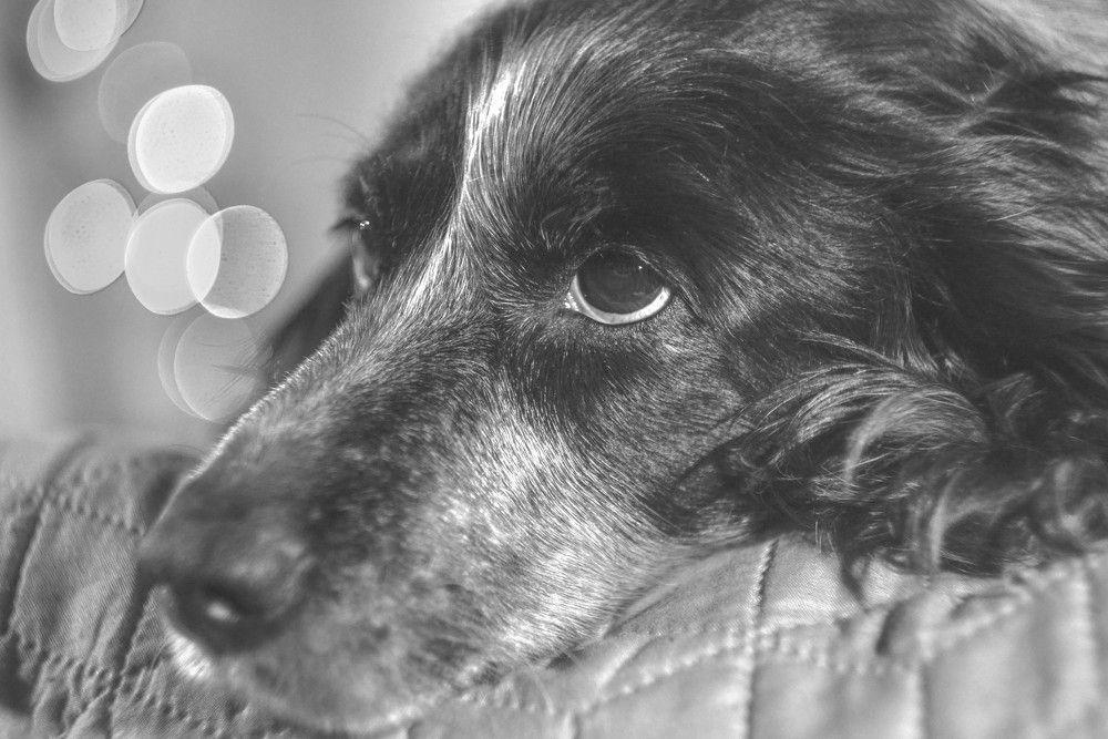 Photograph by Алексей Ильин