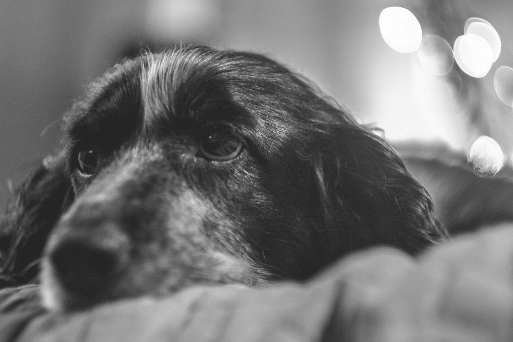 Photograph by Алексей Ильин