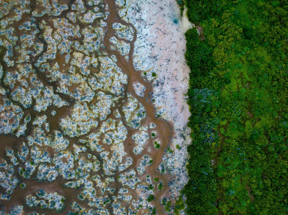 Photograph by Miguel Diaz