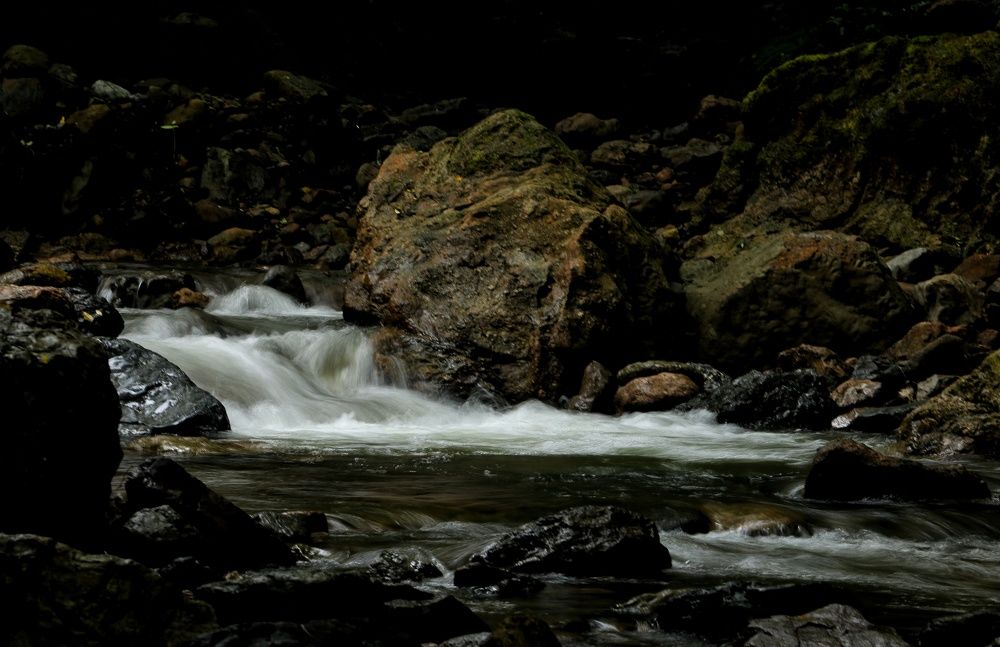 Photograph by Masoumeh Rahimi