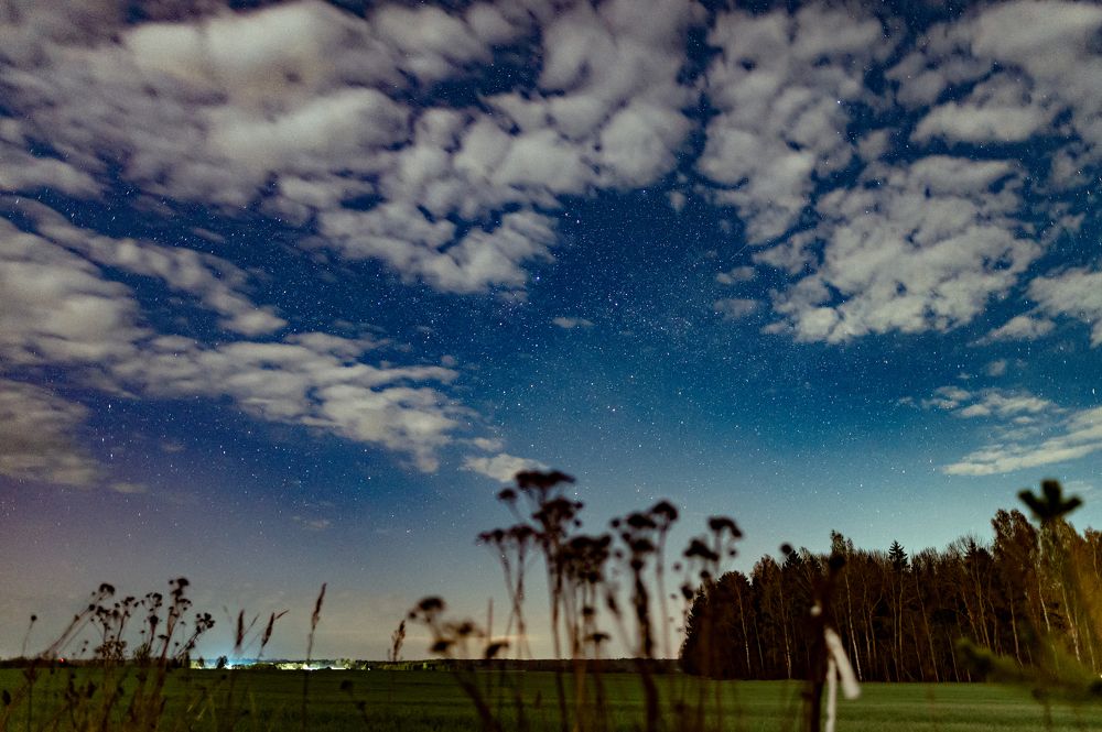 Photograph by 
