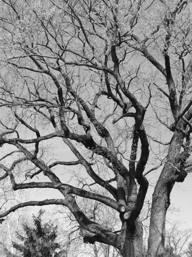 Фотография автора Dubravko Maricic