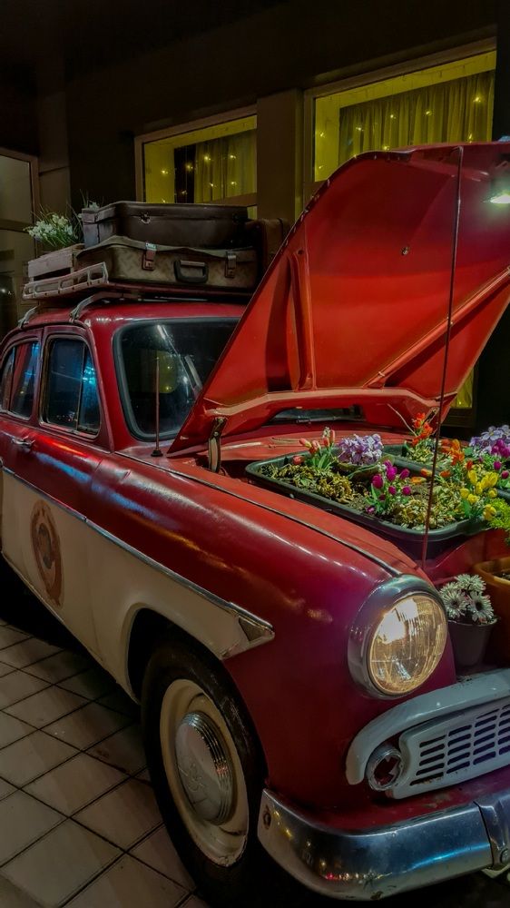 Photograph by Инна Майорова