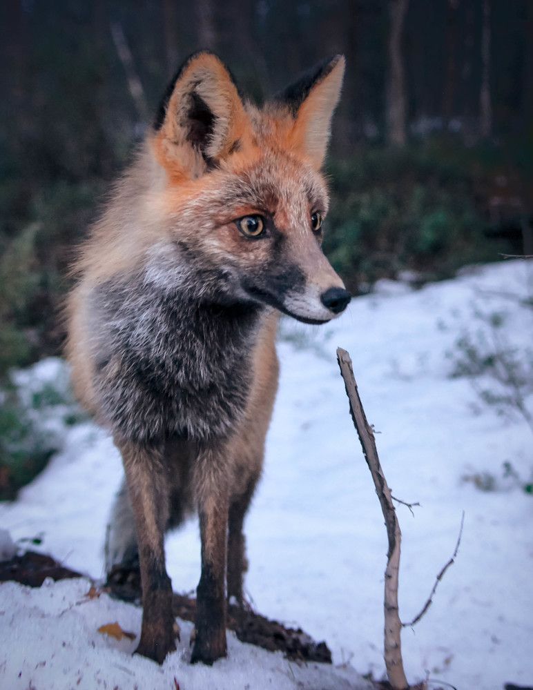 Photograph by Алексей Ильин