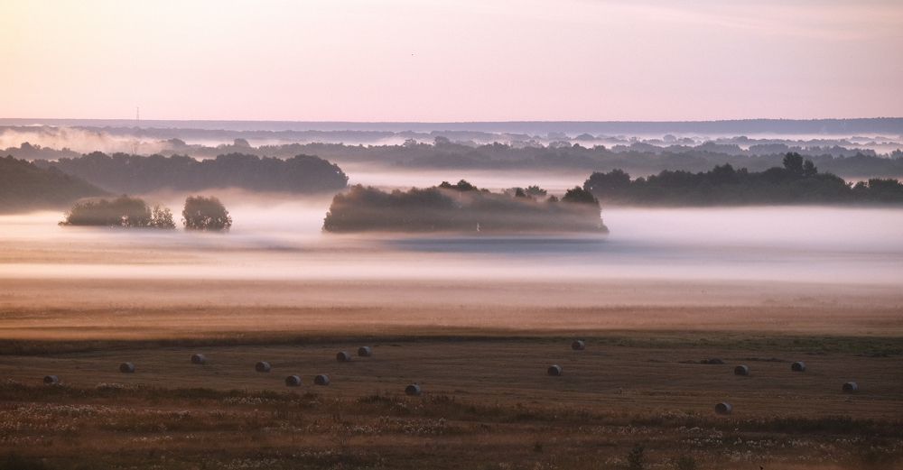 Заливные луга