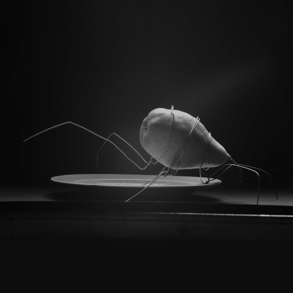 Photograph by Алексей Колбун