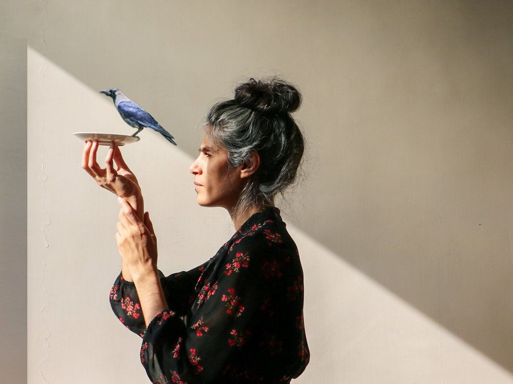 Photograph by Vida khani