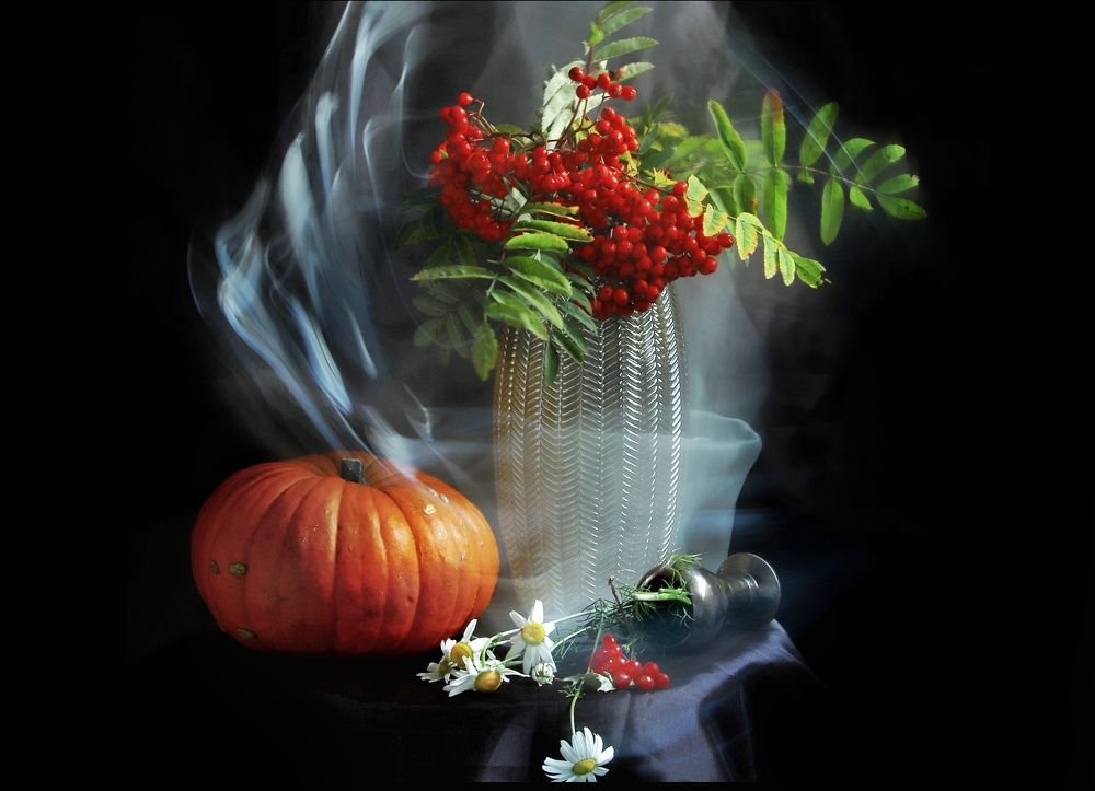 Photograph by Olga Asson