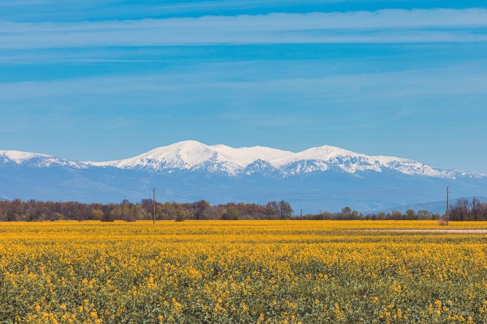 Photograph by Ди Си