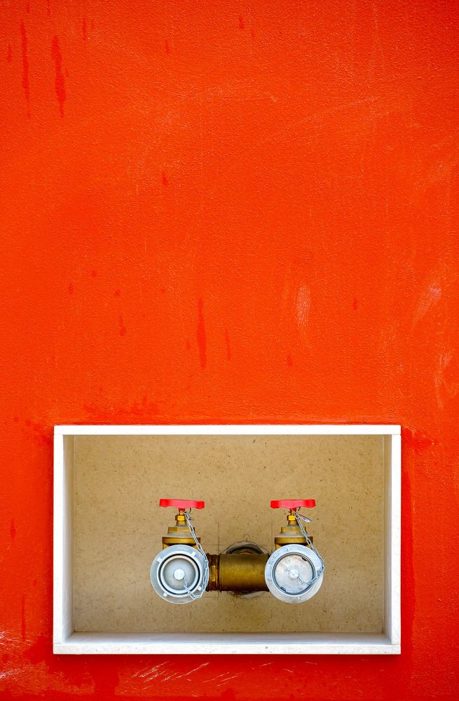 Photograph by Jose Carvalho