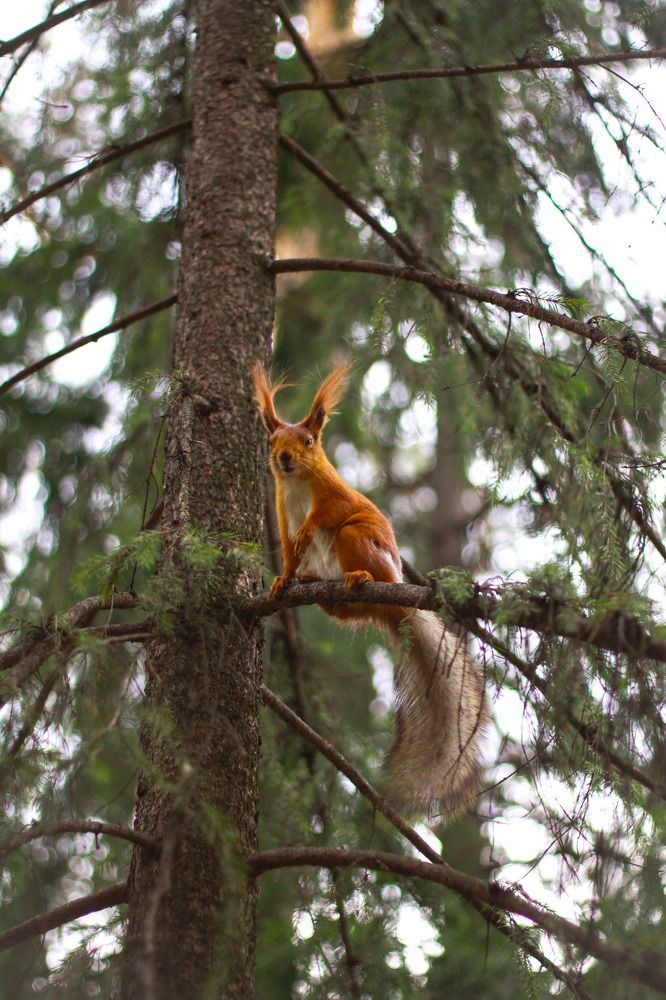 Photograph by Жанна Цветкова