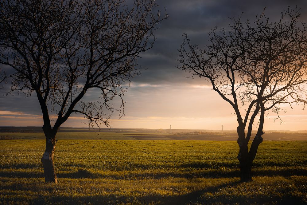 Фотография автора Oleg Suhenko