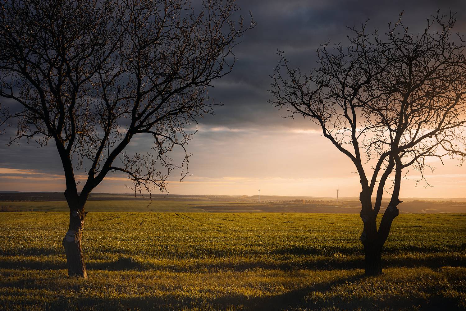 Фотография #9093669