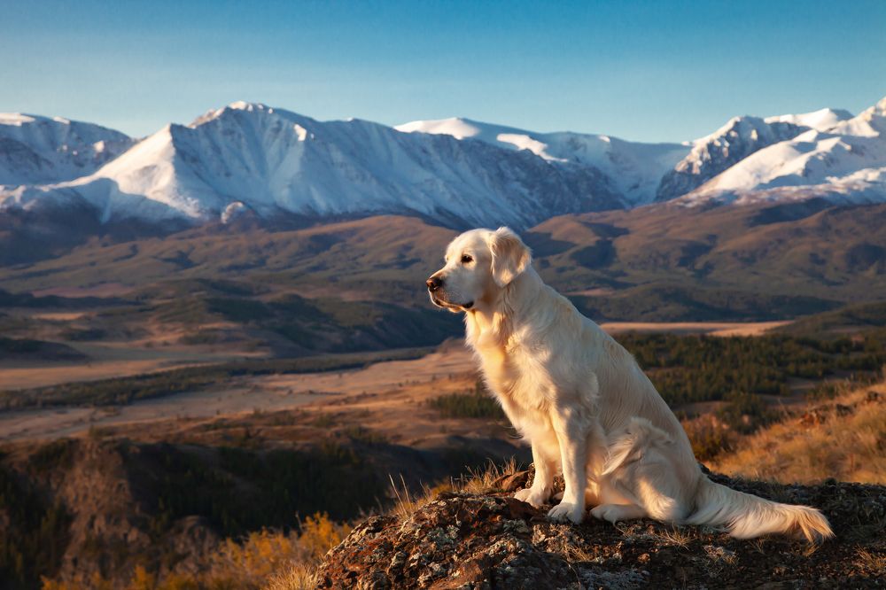 Photograph by Александр Трегубов