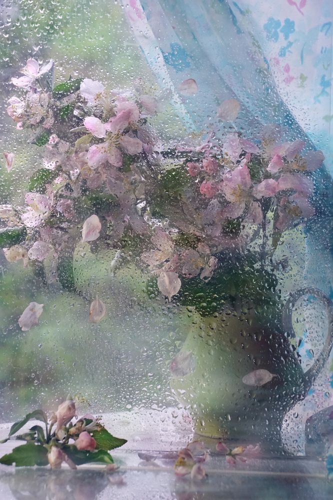 Photograph by Ольга Пуховникова