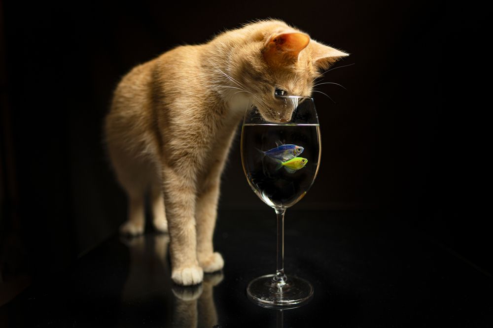 Photograph by Николай Анатольевич