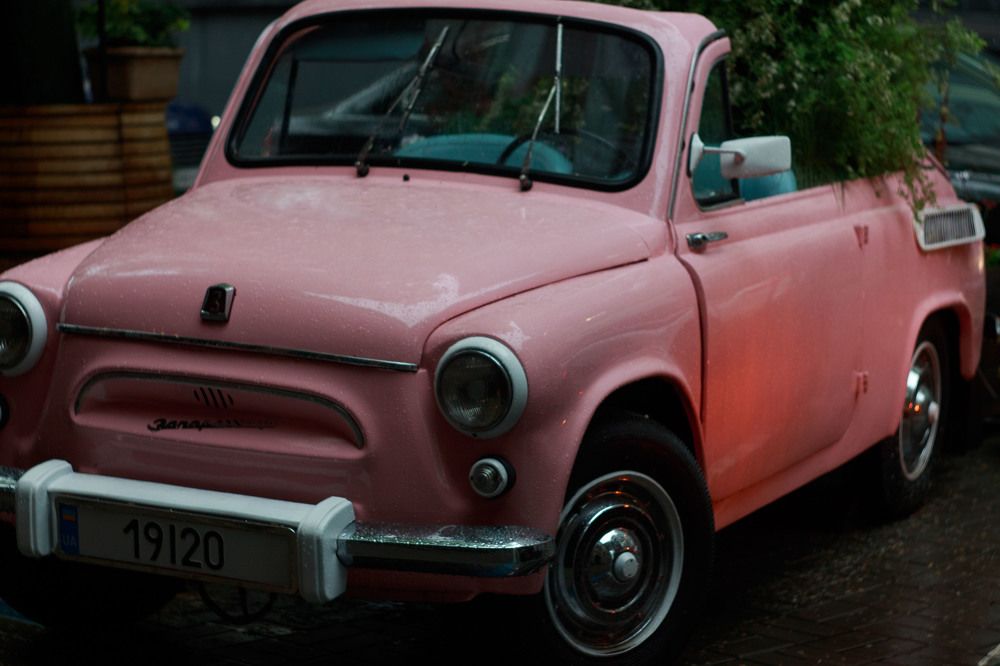 Photograph by Нелли Золотая