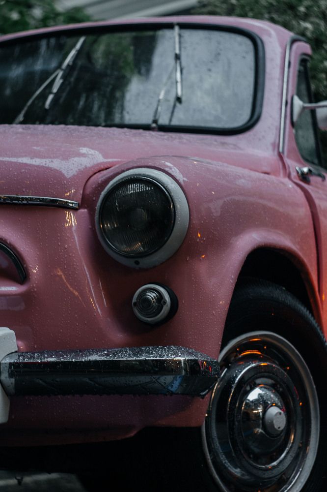 Photograph by Нелли Золотая