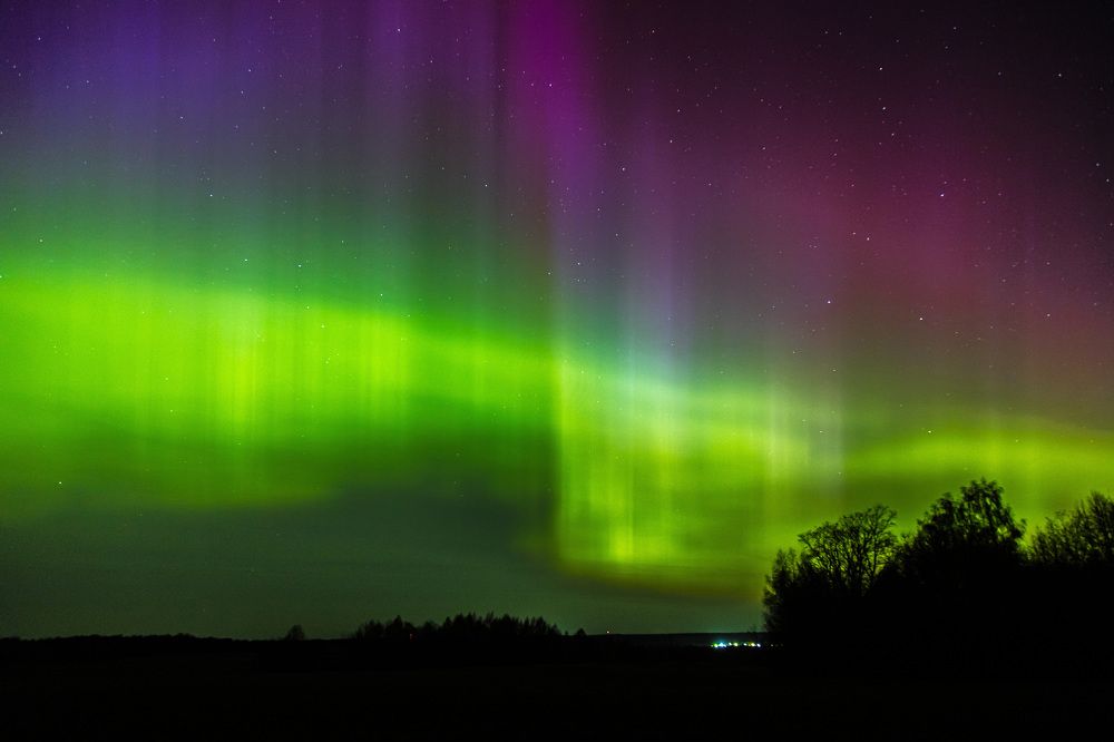 Photograph by Сагдиева Эльвира