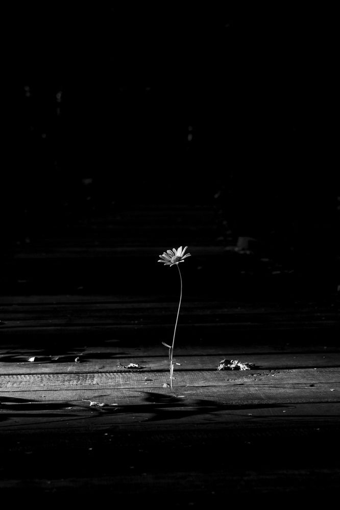 Photograph by Оксана Губанова