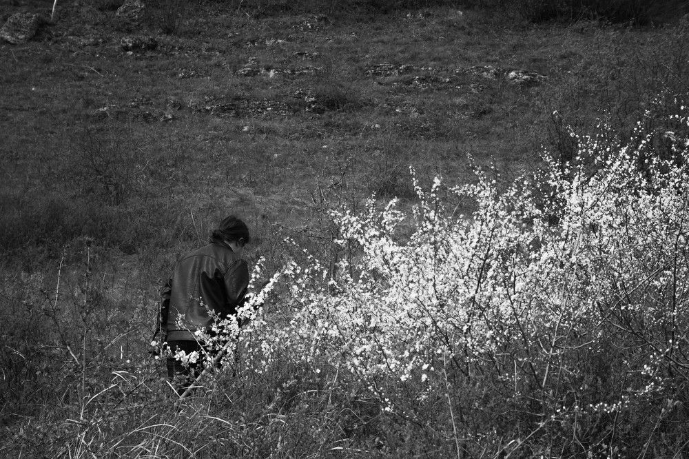 Photograph by Анастасия