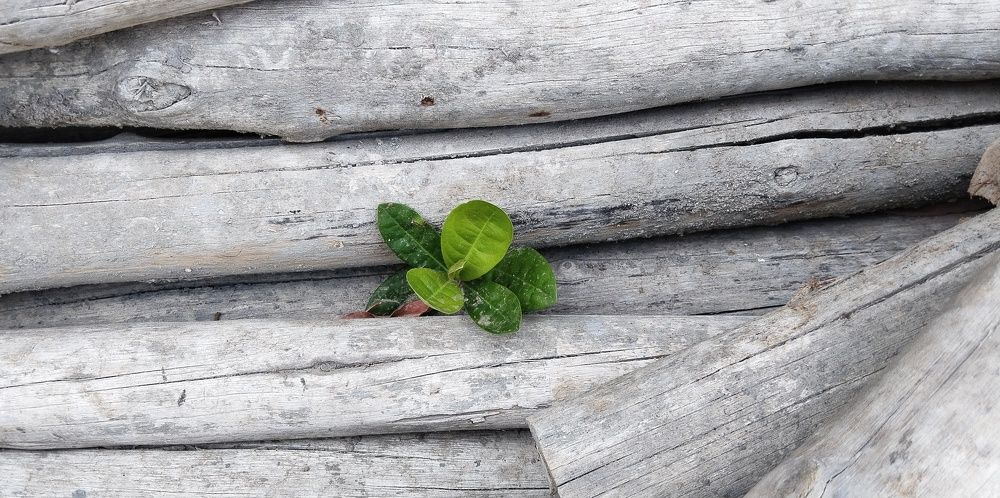 Life between departure