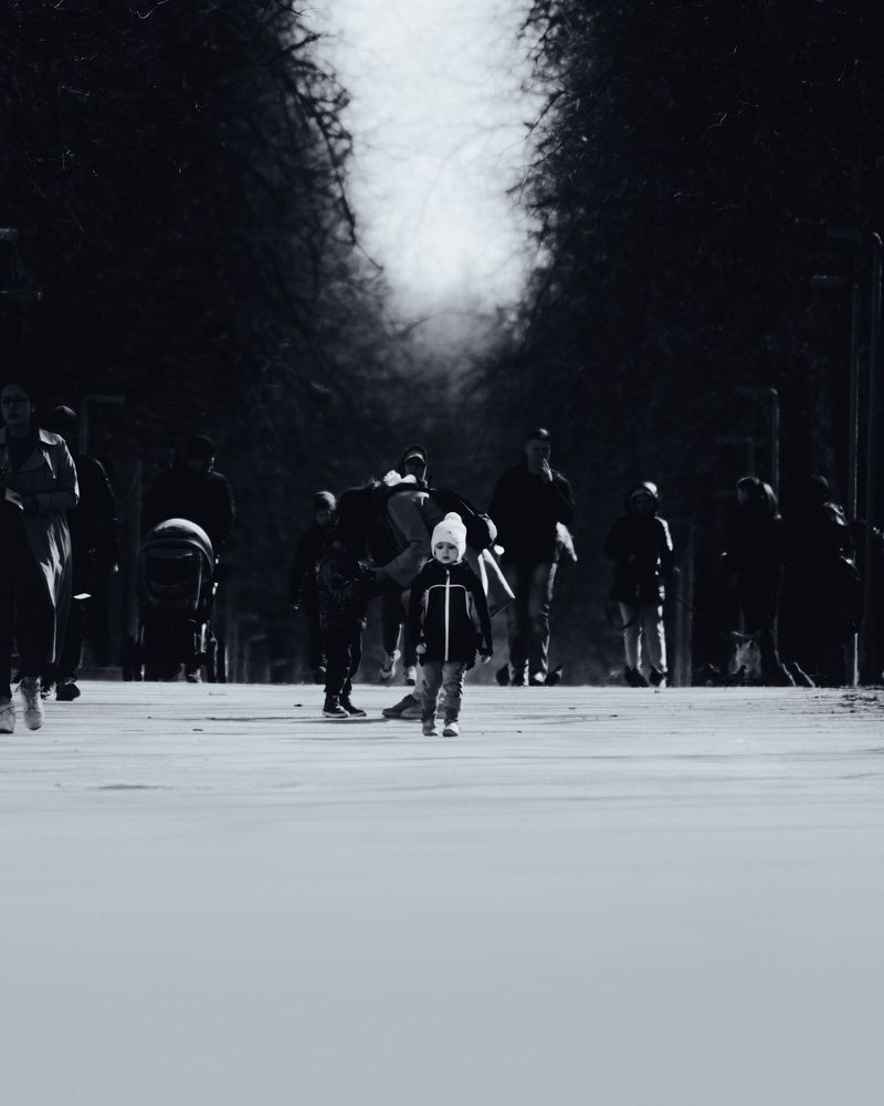 Photograph by Артем Шуткин