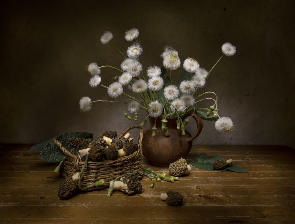 Photograph by 