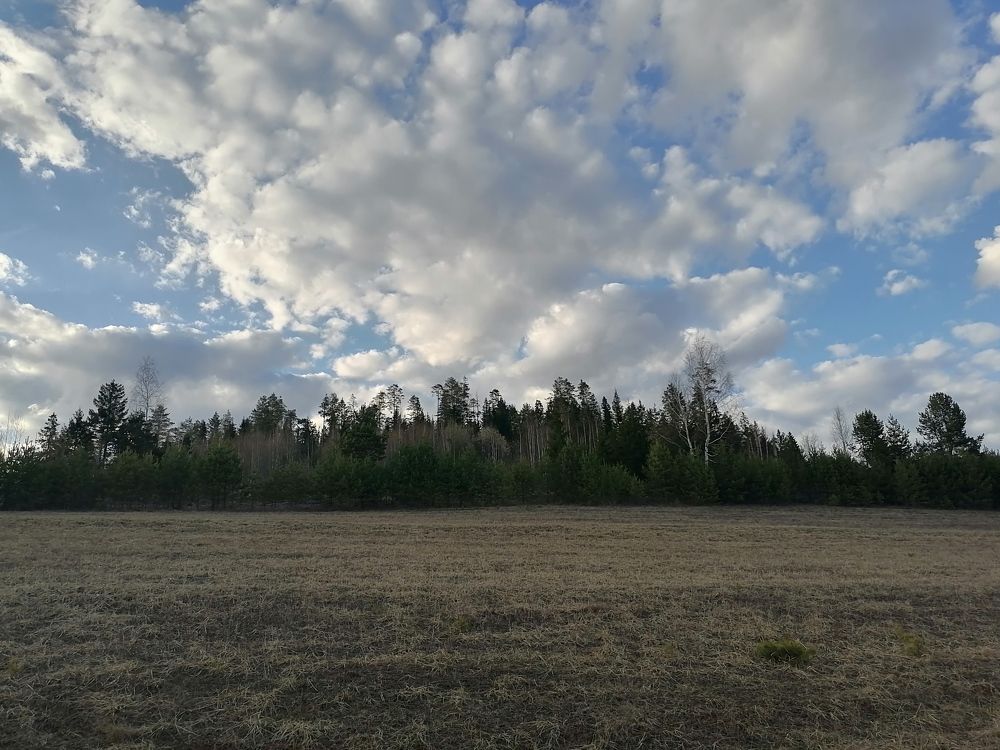 Photo #9094421