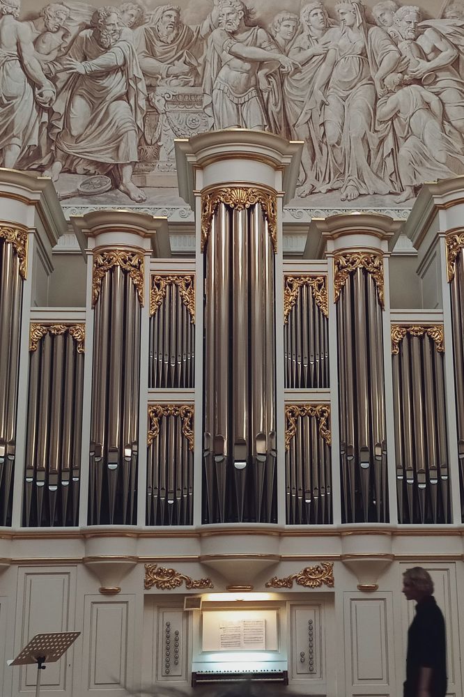 Фотография автора Larisa Meshkova