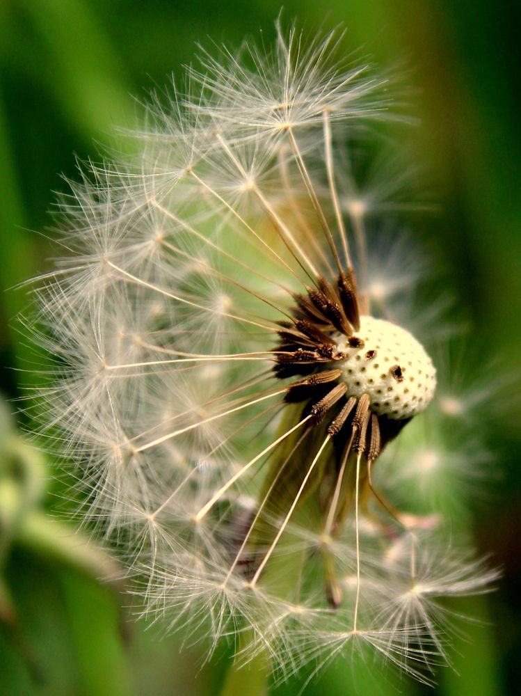 Photograph by 