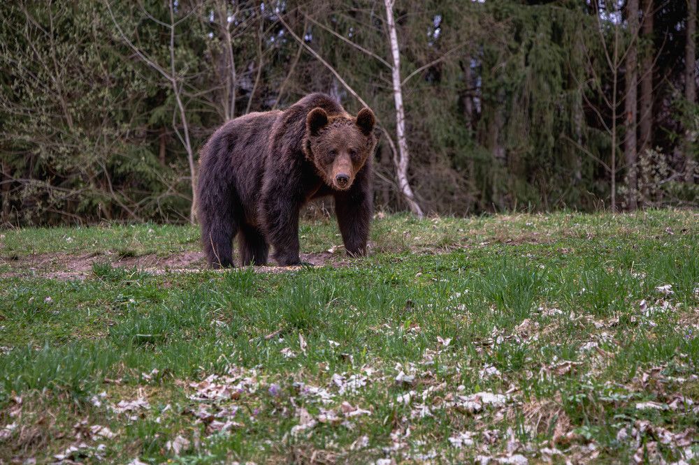 Photograph by George Alexandru Ghiuro