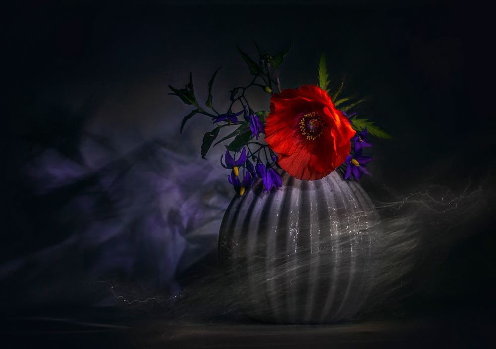 Photograph by Ольга Белова